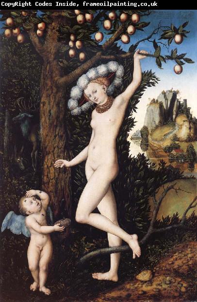 CRANACH, Lucas the Elder Venus and Cupid